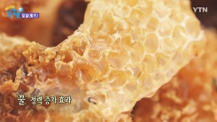 '밀월(蜜月)여행'은 비밀이 아닙니다