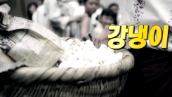 강남에서 명군따라 한반도 온 '강냉이'