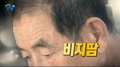 힘든 일을 할 때 왜 '비지땀'을 흘린다고 할까?