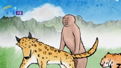 '교활하다' 교활이라는 동물을 아시나요?