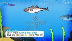 말 많은 사람에게 '노가리 깐다' 하는 이유