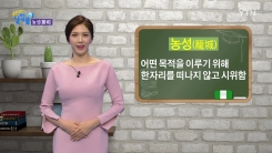 요구를 주장 때 쓰는 단어 '농성'의 유래는?