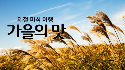 제철 미식여행 '가을의 맛'