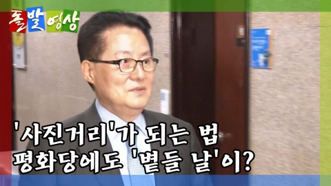 [돌발영상] 민주평화당에 '볕든 날(?)'