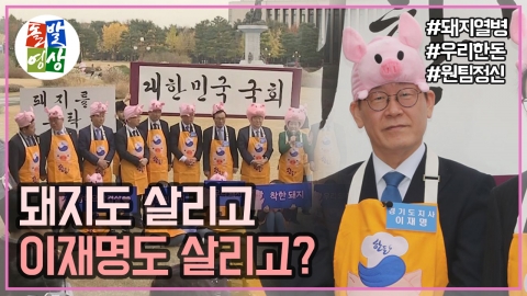 [돌발영상] 돼지와 정치의 오해와 진실?