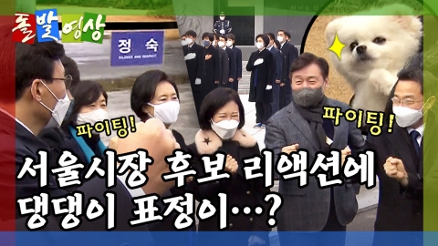 [돌발영상] 현충원의 아침은 누가 깨웠나?