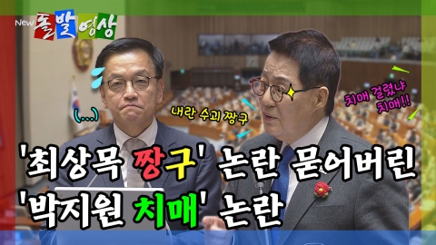 [돌발영상] '최상목 짱구' 논란 묻어버린 '박지원 치매' 논란