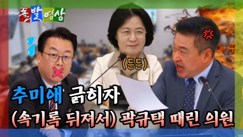 [돌발영상] "위원장님은 국회 공식 기구입니다" 여기가 북한인지 법사위인지?