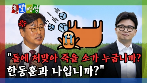 [돌발영상] "돌에 처맞아 죽을 소가 누굽니까? 한동훈과 나입니까?"