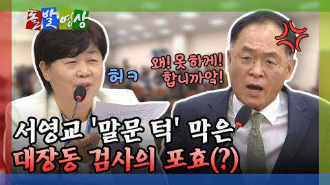 [돌발영상] 서영교 '말문 턱' 막은 대장동 검사의 포효(?)
