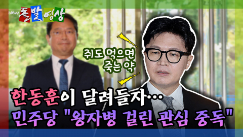 [돌발영상] 한동훈이 달려들자…민주당 "왕자병 걸린 관심 중독"