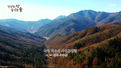 [건강한 산 즐거운 숲] 국립 덕유산 자연휴양림