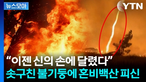 [뉴스모아] 솟구치는 불길에 수천 명 '긴급 대피'…대낮에 태양도 가려졌다