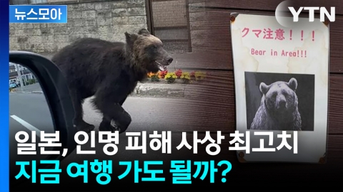 [뉴스모아] 일본, 곰 습격 인명 피해 사상 최고치… 지금 여행 가도 될까?