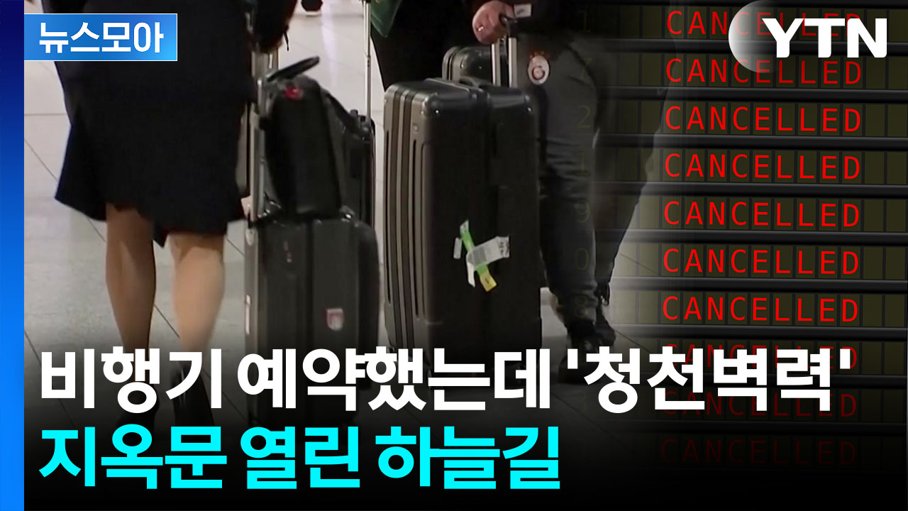 [뉴스모아] 희망 휴직에 운항 중단까지…하늘길도 '패닉'