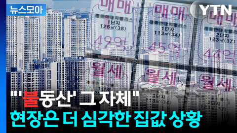 [뉴스모아] "집 안 보고 그냥 계약했대요"…씨 마른 매물에 부동산 '패닉'