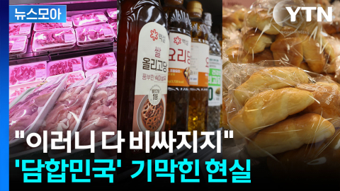 [뉴스모아] "담합 안 한 품목이 있기는 한가?"…곳곳에서 터져 나온 의혹
