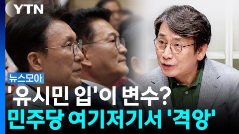 민주당 전당대회 변수는 유시민의 입? 여기저기 '격앙과 반발' [뉴스모아]