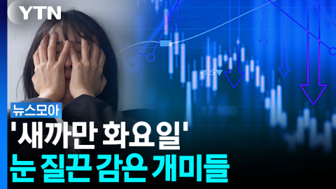 '새까만 화요일'...코스피 곤두박질에 눈 질끈 감은 개미들 [뉴스모아]