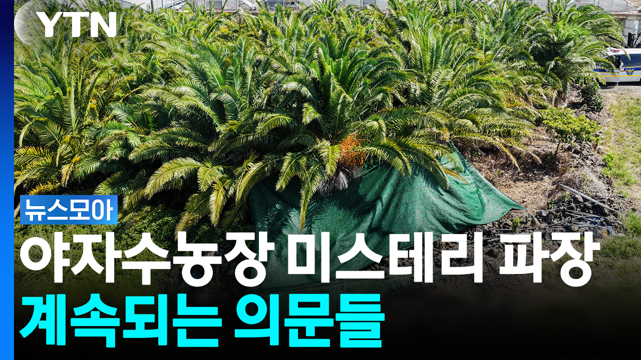'야자수농장 미스테리' 파장…계속되는 의문들 [뉴스모아]