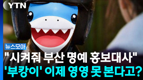 "부산 명예 홍보대사"…'부캉이' 이별할 시간 다가오나 [뉴스모아]
