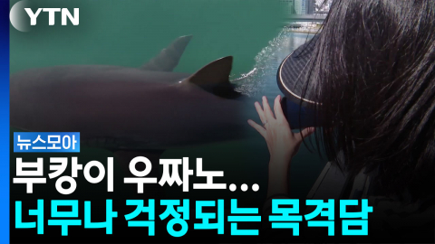 "예상됐던 일"…부캉이가 마주한 가혹한 현실 [뉴스모아]