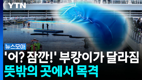 뜻밖의 곳에서 부캉이 목격…모니터링 체제로 전환 [뉴스모아]