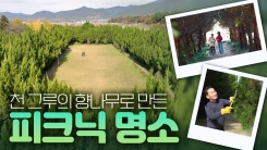 비밀 정원의 초대 - 19편 천개의 향나무숲