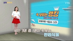 [컬처인사이드] 속 보이는 랭킹 - 푸릇푸릇  식집사 스타 TOP 5