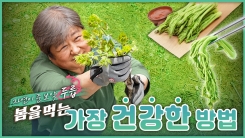 산이 주는 보물, 우리 임산물 숲푸드 – 3편 두릅