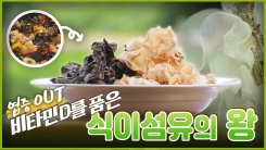 산이 주는 보물 우리 임산물 숲푸드 – 10편 목이버섯