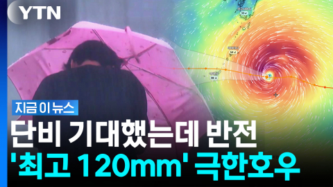 결국 중국 향하는 태풍 '돌핀'…동해안에 '극한호우' 예고 [지금이뉴스]