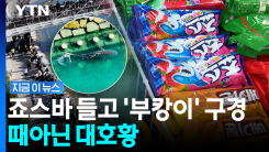 부산 상어 \'부캉이\'에 아기상어까지 들썩…인근 편의점 매출 폭발 [지금이뉴스]