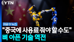 중국이 쓸어담는 중…결국 역전당한 한국 [지금이뉴스]