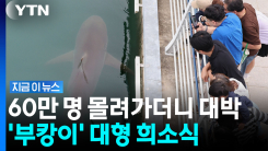 무려 91% 찬성…부산 상어 \'부캉이\' 일 냈다 [지금이뉴스]