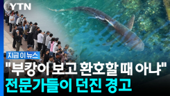 \'부캉이\' 부산에 온 건 우연이 아니었다…전문가들이 주목한 심각성 [지금이뉴스]