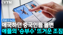 초고가 폴더블 나오자 \'후끈\'…느슨한 시장에 긴장감을 주는 애플 [지금이뉴스]
