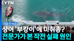 "부캉이가 되돌아오지 못하게"…새로운 방법으로 작전 시도 [지금이뉴스]