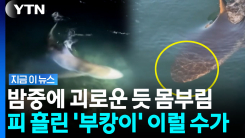 \'부캉이\' 결국 우려했던 일 터졌다…전문가도 위험 경고 [지금이뉴스]