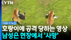 \'거길 왜 들어갔나\'…호랑이 우리에 들어갔다가 결국 \'사망\' [지금이뉴스]