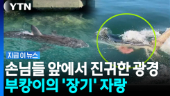 "별걸 다 보여주네"…,출산설 돌던 부캉이 \'대반전\' [지금이뉴스]
