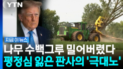 통보 하루만에 나무 500그루 \'댕강\'…트럼프 정부에 판사도 격분 [지금이뉴스]