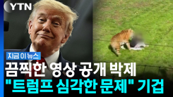 트럼프, 호랑이 공격 영상 올리고 한다는 말이…유족 "제발" [지금이뉴스]
