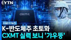 "삼전닉스, 못하는 게 아니라 안 하는 것"…CXMT 쇼크에 냉정한 분석 [지금이뉴스]