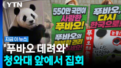 "푸바오가 고향인 한국으로 돌아올 수 있도록"…청와대 앞 시민 집회 [지금이뉴스]
