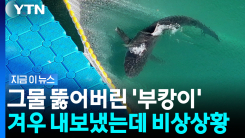 다시 돌아온 \'부캉이\'…밤새워 지켜봤던 시민들이 우려한 장면 [지금이뉴스]