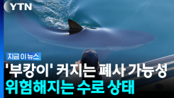 \'부캉이\' 종적 감춘 이유였나…북항 앞바다 기름 유출 사고 발생 [지금이뉴스]