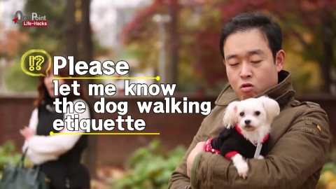 Dog Walking Etiquette