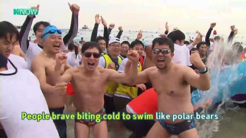Haeundae Polar Bear Swim Festival