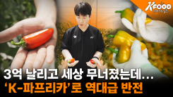 DMZ에서 수확한 희망, 청년 농부와 'K-미니 파프리카'